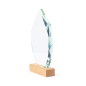 Pulman - Verre/ Bois