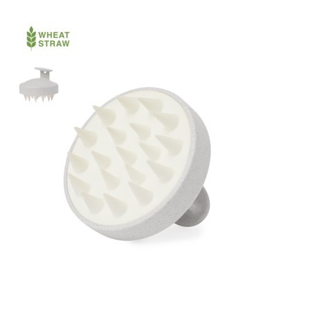 Achetez émulsionneur Nocote pas cher sur Amc Pub