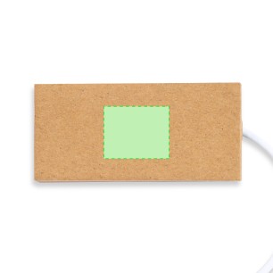 Hasgar - 1 Port Type C. 2 Ports USB 2.0 | Carton Recyclé