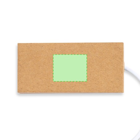Hasgar - 1 Port Type C. 2 Ports USB 2.0 | Carton Recyclé
