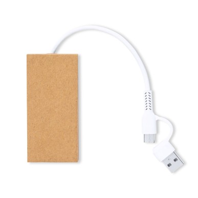 Hasgar - 1 Port Type C. 2 Ports USB 2.0 | Carton Recyclé
