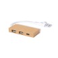 Hasgar - 1 Port Type C. 2 Ports USB 2.0 | Carton Recyclé