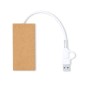 Hasgar - 1 Port Type C. 2 Ports USB 2.0 | Carton Recyclé