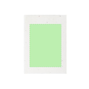 Zomek - 50 Notes Adhésives 7 x 10 cm. Graines de Pétunia Incluses. Fleurs Couleurs Diverses | Papier Ensemencé