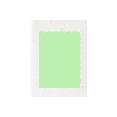 Zomek - 50 Notes Adhésives 7 x 10 cm. Graines de Pétunia Incluses. Fle