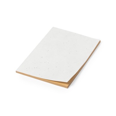 Maiwen - 60 Feuilles. Graines de Pétunia Incluses. Fleurs Couleurs Div