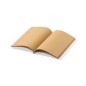 Maiwen - 60 Feuilles. Graines de Pétunia Incluses. Fleurs Couleurs Diverses | Papier Ensemencé