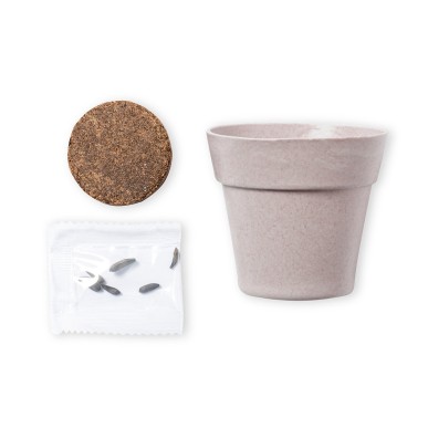 Tumil - 5-8 Graines de Tournesol Incluses | Pot Biodégradable