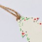Boster - Graines de Pétunia Incluses. Fleurs Couleurs Diverses | Papier Ensemencé