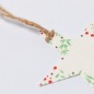 Boster - Graines de Pétunia Incluses. Fleurs Couleurs Diverses | Papier Ensemencé