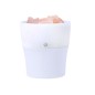 Boucher - Pierres Roses de Sel de l'Himalaya. Huile 10 ml. Arôme Lavande. Lumières Led Multicolores. 150 ml. 1 Mode de Vapeur. C