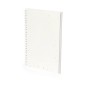Bitar - 80 Feuilles. Graines de Pétunia Incluses. Fleurs Couleurs Diverses | Papier Ensemencé