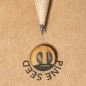 Etesio - Graines de Pin Incluses | Bois
