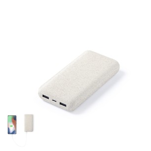 Golblum - 20000 mAh. 2 USB 0Ausgänge. Typ C Ausgänge und Eingang | Wei