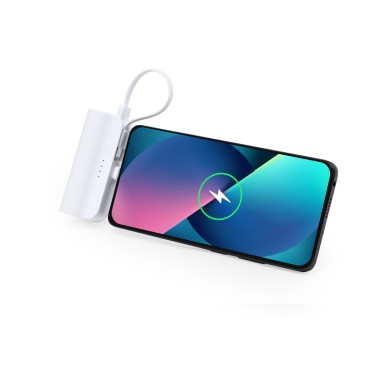 Laford - 5000 mAh. 2 Ausgang Typ C. Typ C Eingang