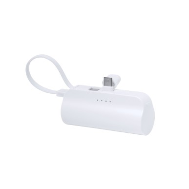 Laford - 5000 mAh. 2 Ausgang Typ C. Typ C Eingang