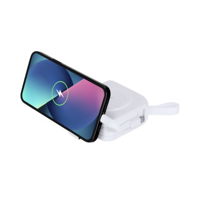 Joks - 2 Typ C Ausgänge, 1 Micro USB/ Lightning Ausgang und 1 USB Ausg