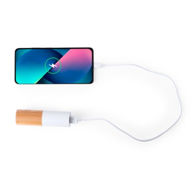 Reneh - 4500 mAh. USB Ausgang. Typ C Ausgänge und Eingang | Weizenstro