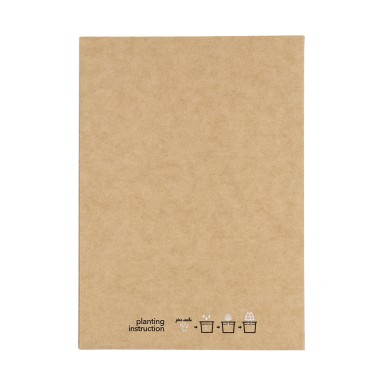 Astrox - Piniensamen Inklusive | Holz