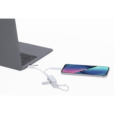 Leony - 1 Typ C Hub. 1 Hub USB 2.0. Anschluss Micro USB, Typ C und Lig