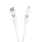 Leony - 1 Typ C Hub. 1 Hub USB 2.0. Anschluss Micro USB, Typ C und Lightning 5V DC 2A | Reclycling Aluminium