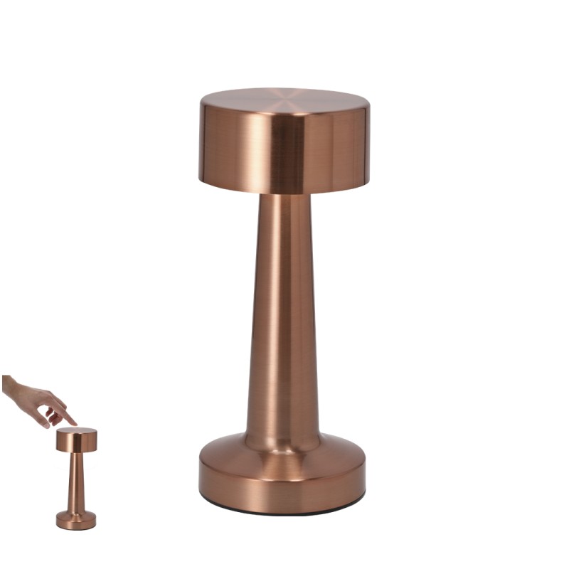 Rosity - 24 Leds. 3 Modes de Lumière. Lumière à Intensité Réglable. Batterie 1.200 mAh | Métal