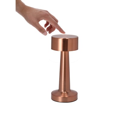 Rosity - 24 Leds. 3 Modes de Lumière. Lumière à Intensité Réglable. Ba