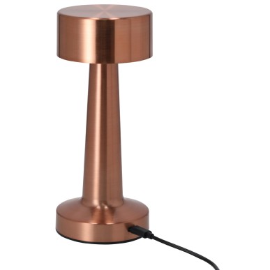 Rosity - 24 Leds. 3 Modes de Lumière. Lumière à Intensité Réglable. Ba
