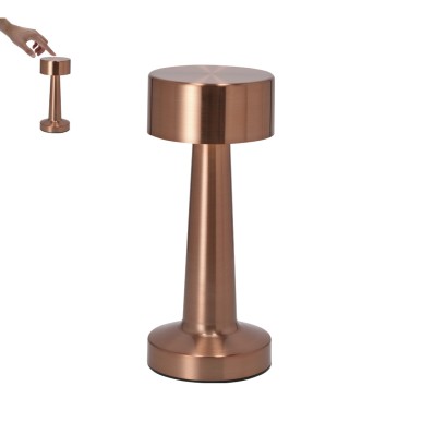 Rosity - 24 Leds. 3 Modes de Lumière. Lumière à Intensité Réglable. Ba