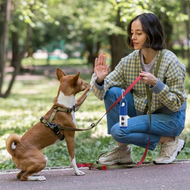 Kesler - Hydroalkoholisches Gel 15 ml. 15 Kompostierbarer Beutel Inklu