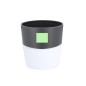 Mibar - 340 ml | PP/ TPR