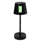 Kirsten - 12 Leds. Pliable. Lumière à Intensité Réglable. Batterie 800 mAh