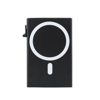 Alfek - Magnetisch. RFID Schutz. 1 Abteilung | Aluminium