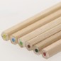 Osprey - 6 Stifte | Pappe Osprey - 6 Stifte | Pappe