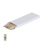 Siskin - 4 Stifte | Pappe