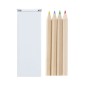 Siskin - 4 Stifte | Pappe
