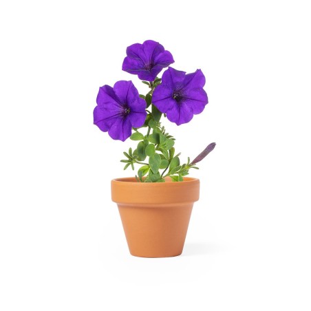Achetez Pot de Fleurs Soltax pas cher sur Amc Pub
