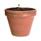 Mussox - Wilde Blumen | Reclycling Pappe