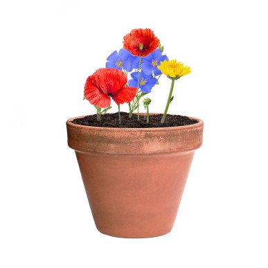Mussox - Wilde Blumen | Reclycling Pappe