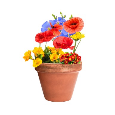 Mussox - Wilde Blumen | Reclycling Pappe
