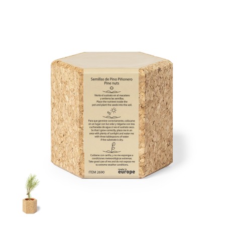 Gulytel - Graines de Pin Incluses | Liège