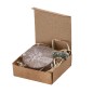 Aquael - Wilde Blumen | Recycling Pappe