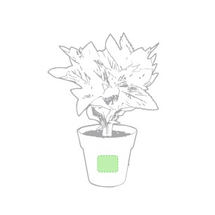 Nertel - 2 Stück. Samen Inklusive | Kompostierbarer Topf