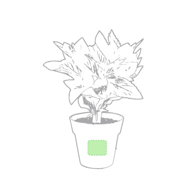 Nertel - 2 Stück. Samen Inklusive | Kompostierbarer Topf