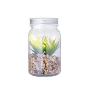 Achetez Dekorpflanze Kyala pas cher sur Amc Pub