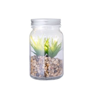 Achetez Dekorpflanze Kyala pas cher sur Amc Pub